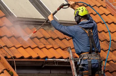 Démoussage et hydrofuge de toiture à Courbevoie
